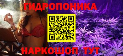 эйфоретик Малгобек