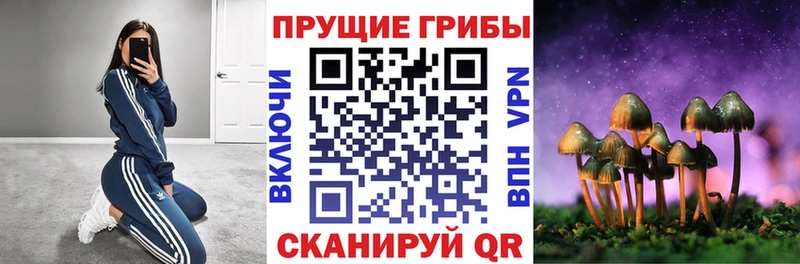 где продают наркотики  Чита  Псилоцибиновые грибы Psilocybine cubensis 