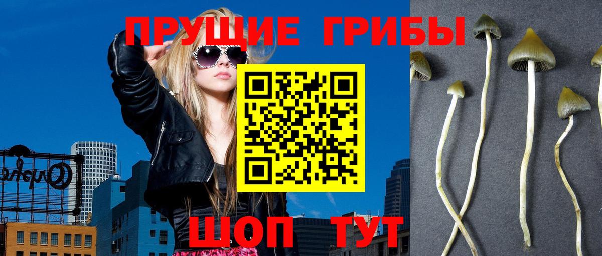 Псилоцибиновые грибы Magic Shrooms Чита