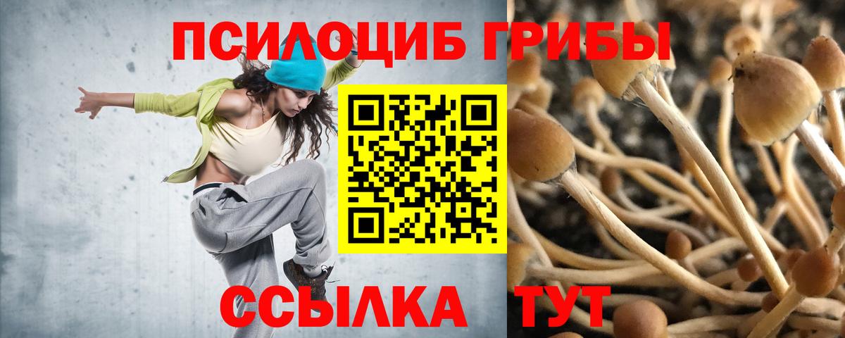 Псилоцибиновые грибы MAGIC MUSHROOMS  Псилоцибиновые грибы MAGIC MUSHROOMS  Вход с VPN  Чита 